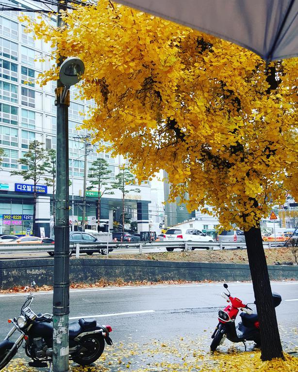 Feliz Guesthouse, Seoul Station מראה חיצוני תמונה